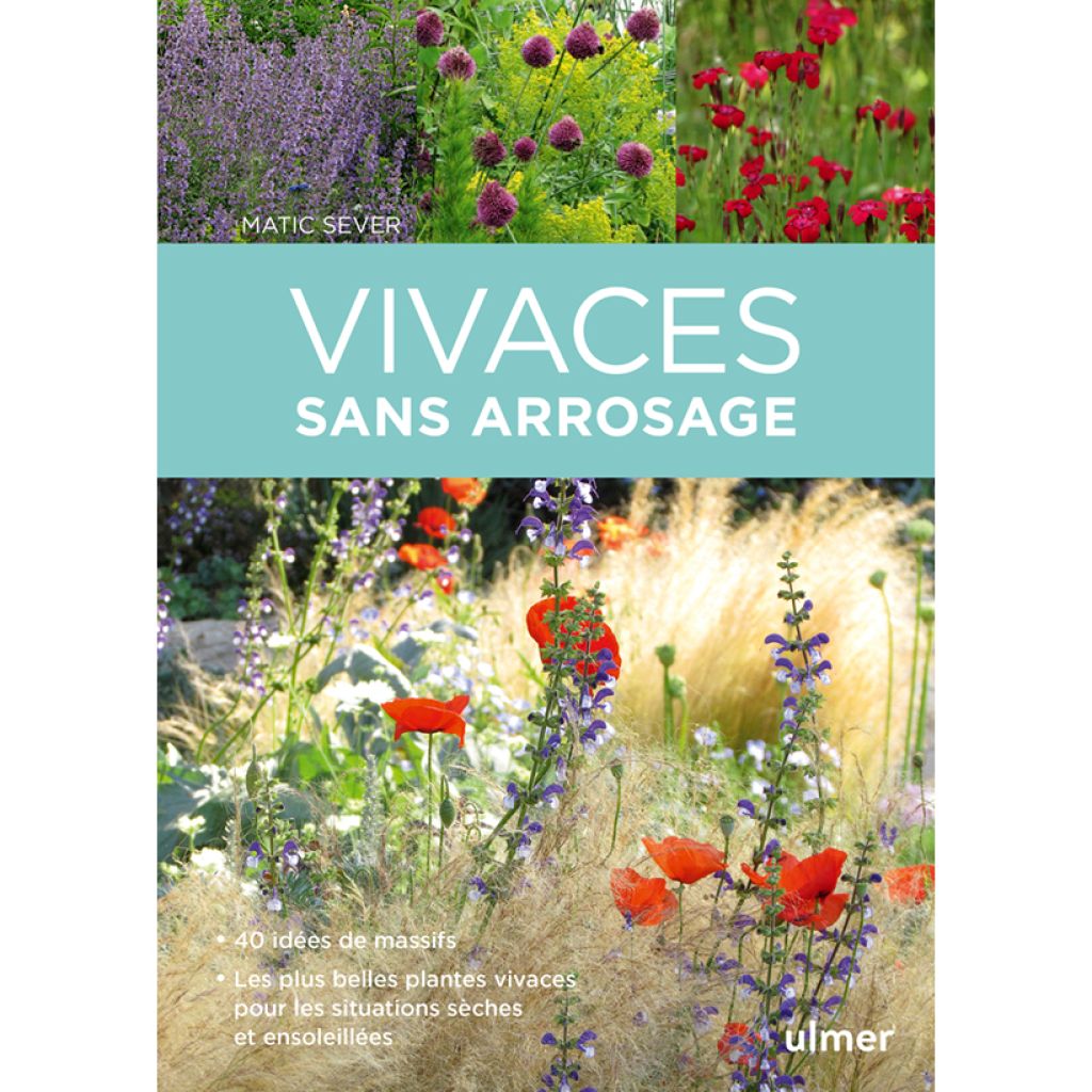 Vivaces sans arrosage