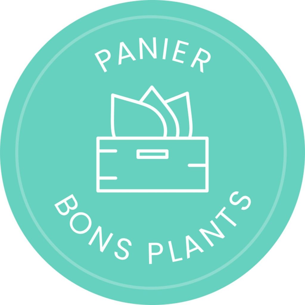 Panier Bons Plants spécial rosiers