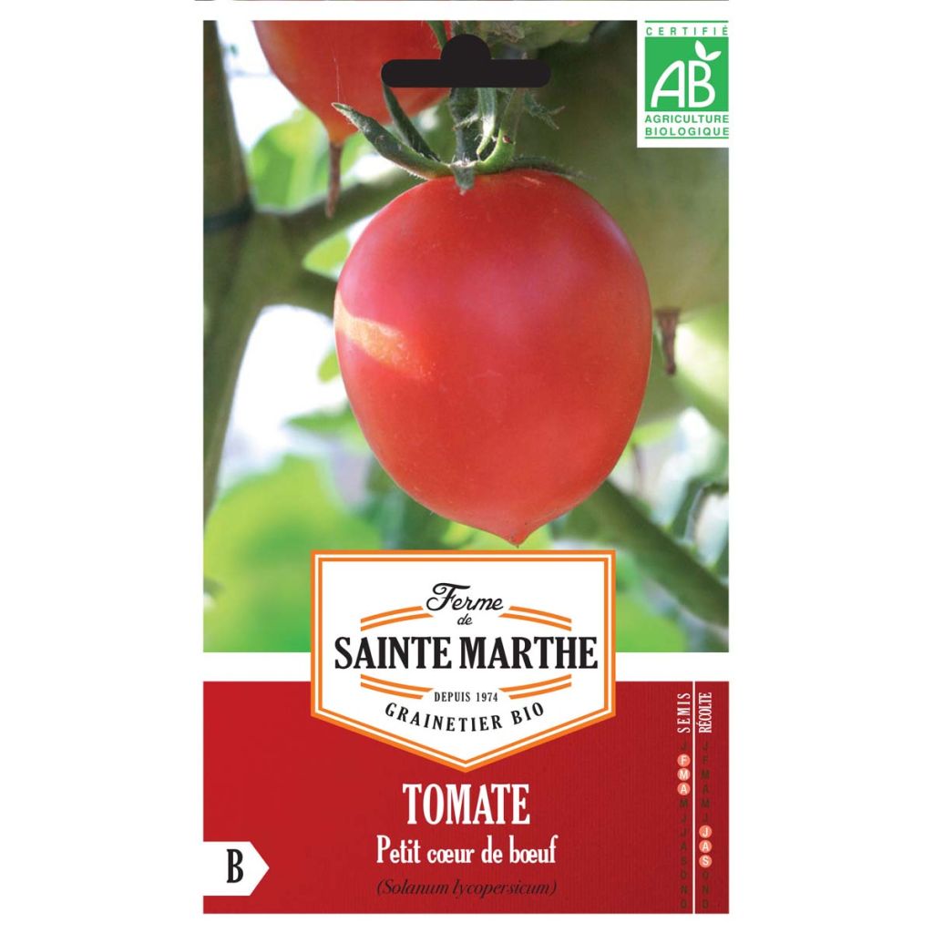 Bio Tomate PETIT COEUR DE BOEUF