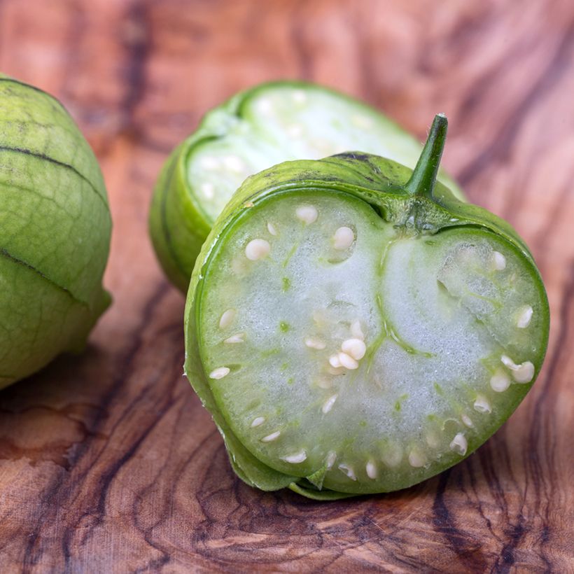 Tomatillo du Mexique Bio - Ferme de Sainte Marthe (Récolte)