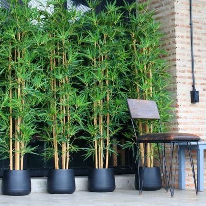 Comment bien arroser un bambou en pot ?