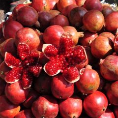 Grenadier à fruits - Punica granatum Wonderful