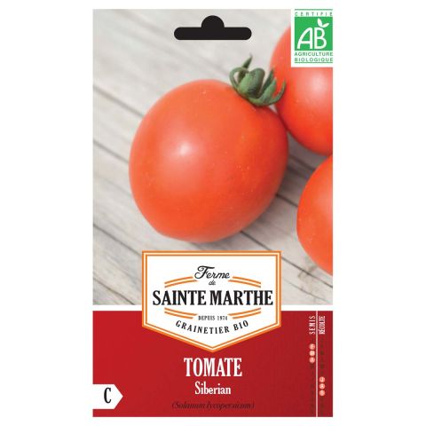 TOMATE cocktail Tigrella bicolore Bio - La Semence Bio