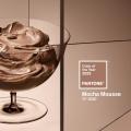 Mocha Mousse - Couleur Pantone de l'année 2025